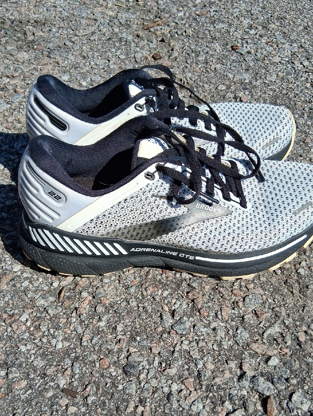 Brooks Adrenaline GTS 22 Men’s Running Shoes in Light White and Black